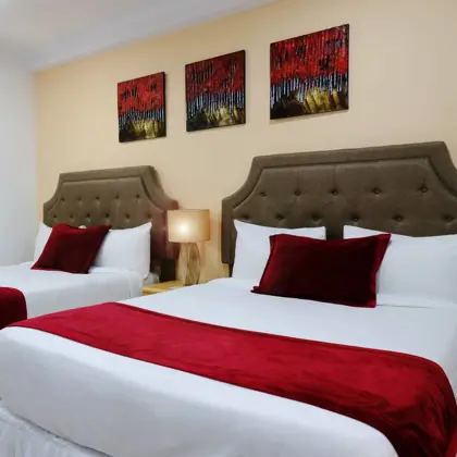 242098221_1692218517835179_5130583716789256104_n